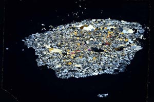 Cross Polarized, S4252