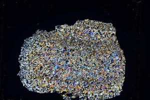 Cross Polarized, S4253