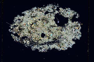 Cross Polarized, S4255