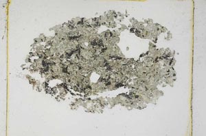 Plane Polarized, S4255