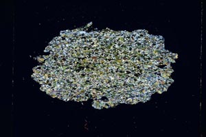 Cross Polarized, S4257