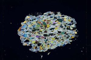 Cross Polarized, S4260