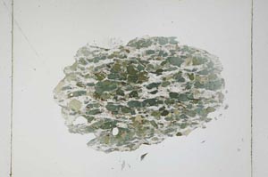 Plane Polarized, S4260