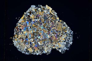 Cross Polarized, S4261