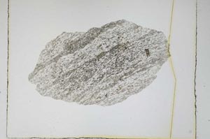 Plane Polarized, S4265