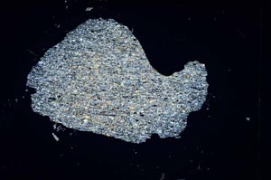 Cross Polarized, S4266