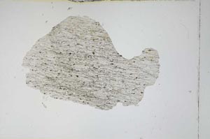 Plane Polarized, S4266