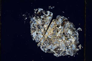 Cross Polarized, S4267