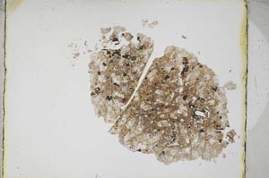 Plane Polarized, S4267