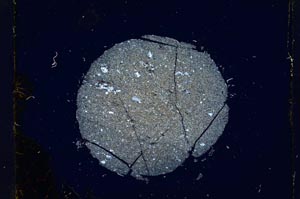 Cross Polarized, S4270