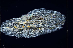 Cross Polarized, S4271