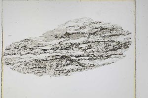 Plane Polarized, S4271