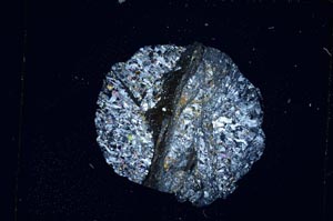 Cross Polarized, S4272/A