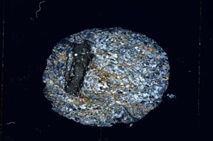 Cross Polarized, S4272/B