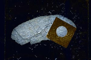 Cross Polarized, S4273