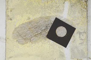 Plane Polarized, S4273