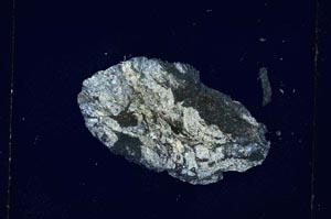 Cross Polarized, S4274