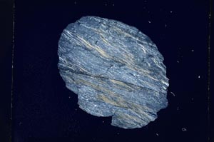 Cross Polarized, S4275