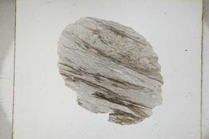 Plane Polarized, S4275