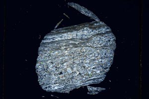 Cross Polarized, S4278