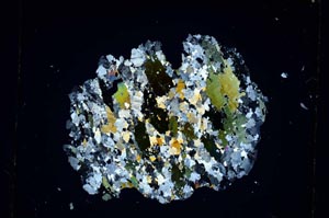 Cross Polarized, S4279/A