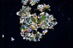 Cross Polarized, S4279/B