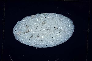 Cross Polarized, S4295