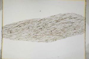 Plane Polarized, S4319