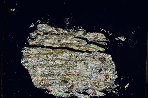 Cross Polarized, S4321