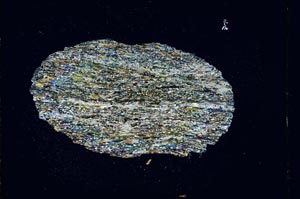 Cross Polarized, S4323