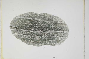 Plane Polarized, S4323