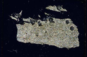 Cross Polarized, S4324