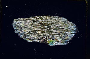 Cross Polarized, S4325