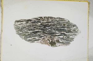 Plane Polarized, S4325