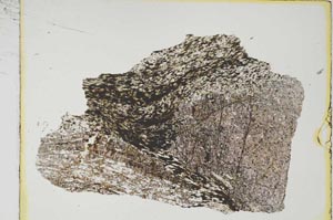 Plane Polarized, S4326