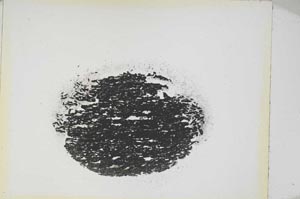 Plane Polarized, S4327