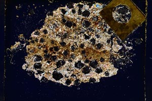 Cross Polarized, S4328