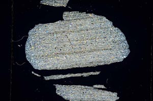 Cross Polarized, S4335