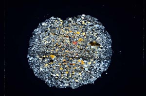 Cross Polarized, S4336