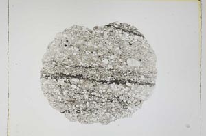 Plane Polarized, S4336