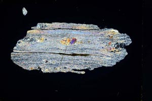 Cross Polarized, S4338