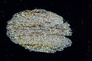 Cross Polarized, S4343