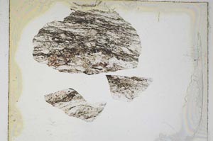 Plane Polarized, S4346