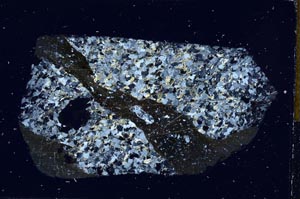 Cross Polarized, S4347