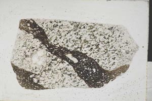 Plane Polarized, S4347