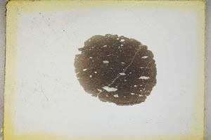 Plane Polarized, S4349