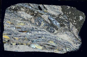 Cross Polarized, S4349/a