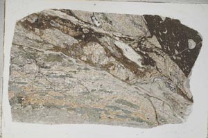 Plane Polarized, S4349/a