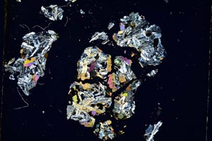 Cross Polarized, S4351