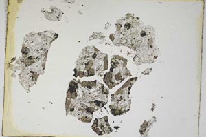 Plane Polarized, S4351